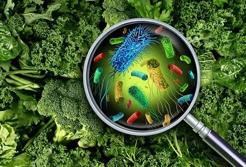 مراقب مسمومیت‌های غذایی باشید