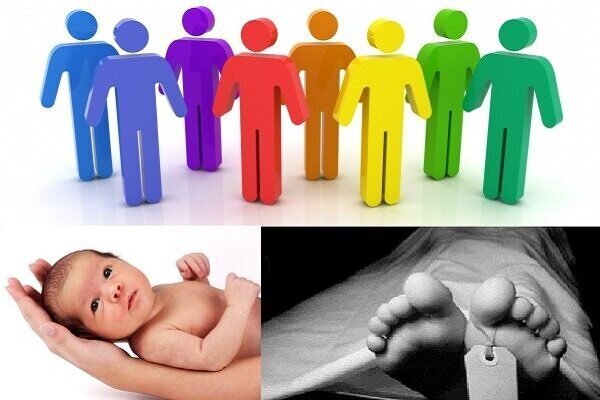 کاهش ازدواج و تولد در شرق استان/ فرهنگ سازی اولویت اول