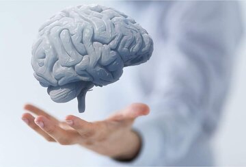 برای بهبود مغز این عادت را ترک کنید