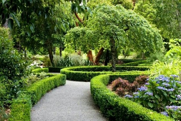 حضور در فضاهای سبز باعث رشد بهتر مغز کودکان می‌شود