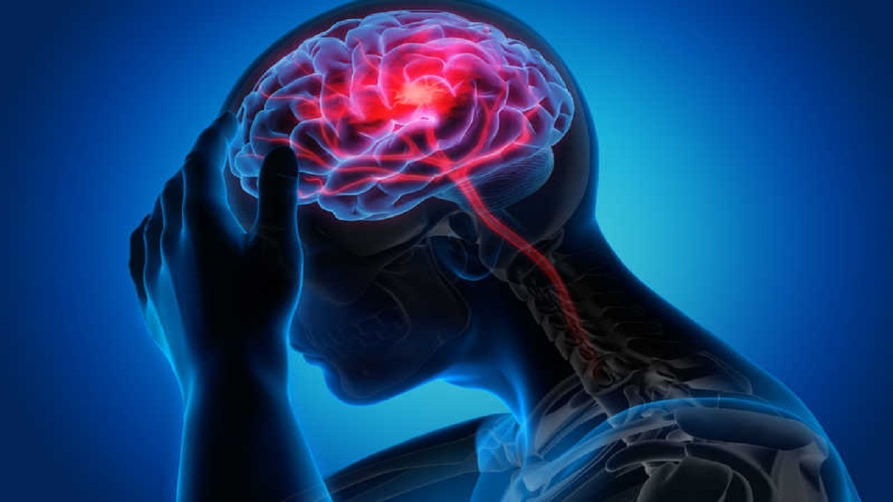چگونه غذا‌های چرب خطر سکته مغزی را افزایش می‌دهند؟