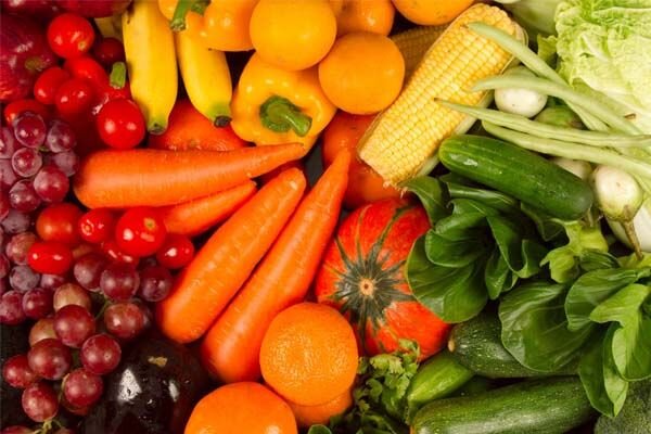 فعالیت کمیته‌ای تخصصی برای ارزیابی ایمنی تراریخته‌ها/ واردات سالانه حدود ۷ میلیارد تراریخته