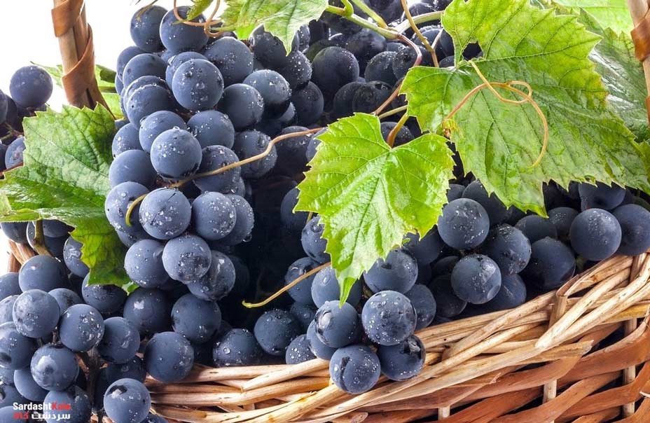 خواص انگور سیاه برای قلب و مغز
