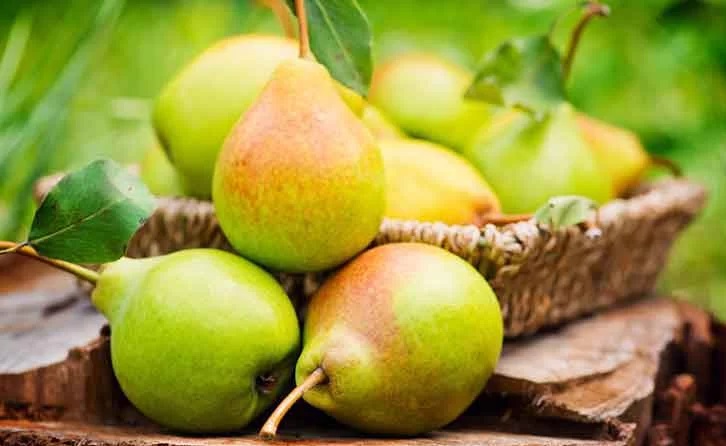 این میوه برای کاهش وزن و پیشگیری از سرطان معجزه می کند