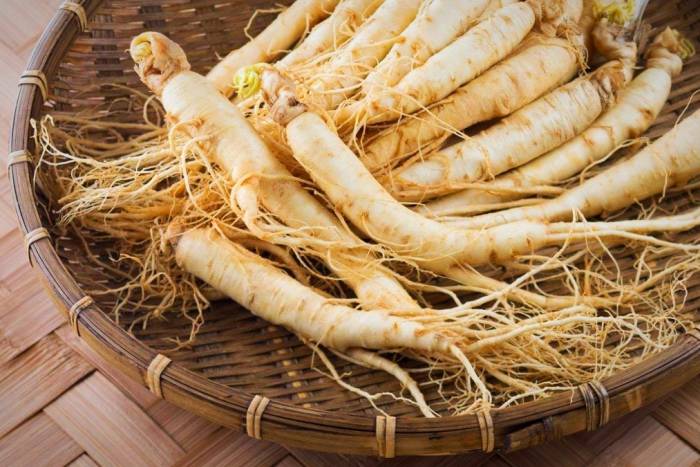 یک داروی گیاهی مفید علیه آلزایمر