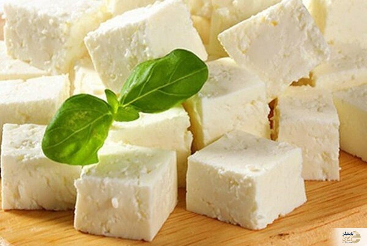 معجزه این لبنیات برای سلامت روده