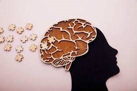 مغز چگونه در چاقی نقش بازی می‌کند؟