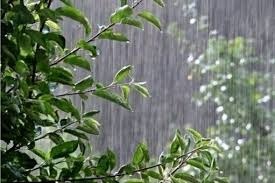 بارش پراکنده و وزش باد در انتظار برخی نواحی کشور