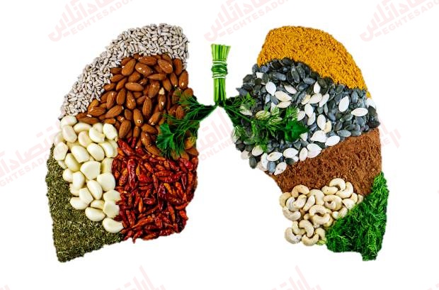 چه بخوریم تا ریه‌های سالمی داشته باشیم؟