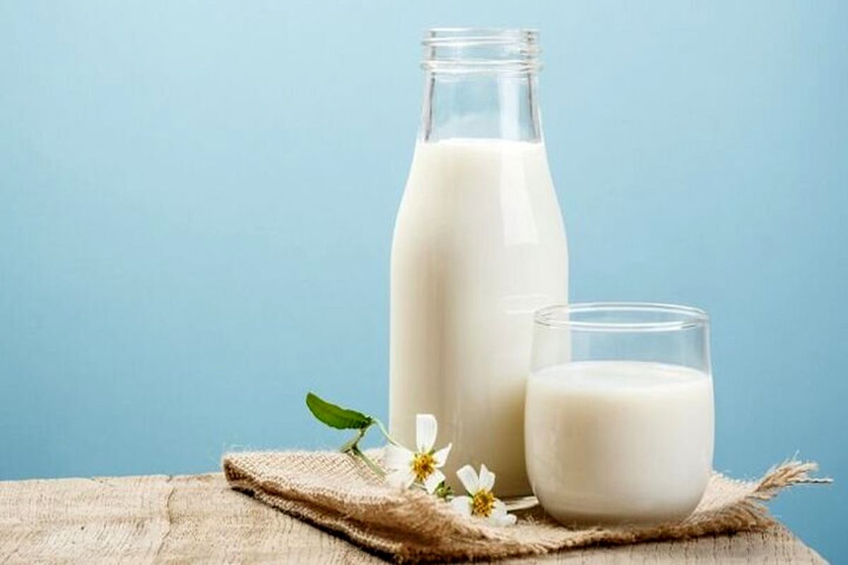 شیر چاق‌ می‌کند یا لاغر؟