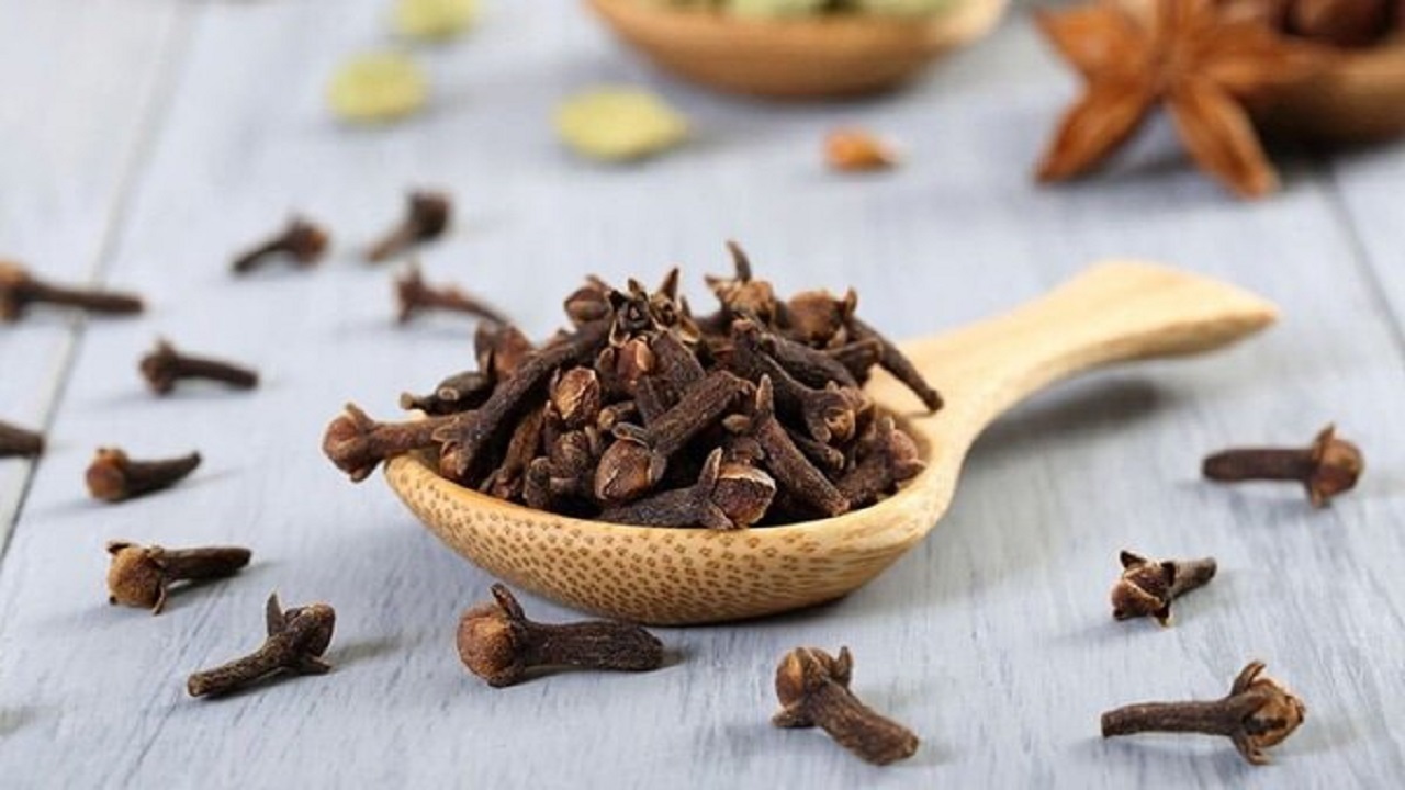 سوپراستار گیاهان دارویی با خواص معجزه‌آسا