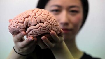 چه کنیم مغزمان جوان‌ بماند؟