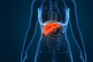 تضمین سلامت کبد با مصرف این ویتامین‌ها