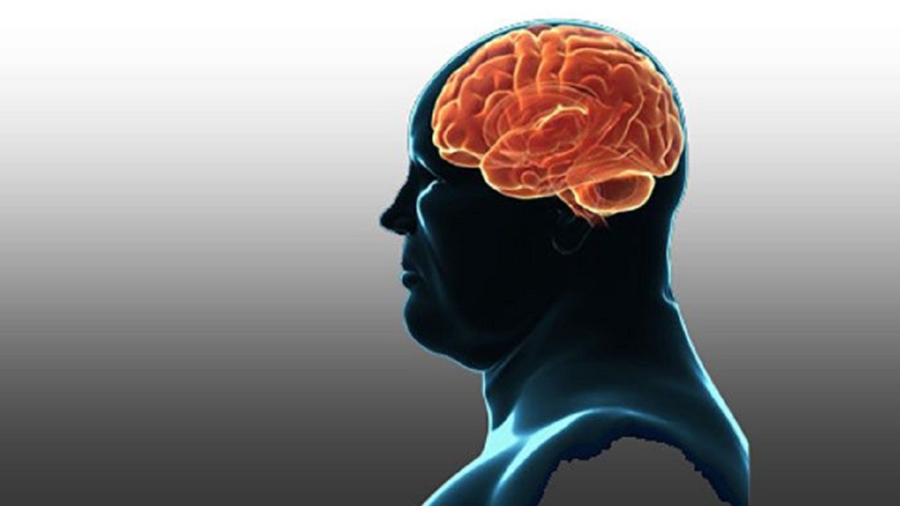 چاقی بر عملکرد مغز تأثیر منفی می‌گذارد