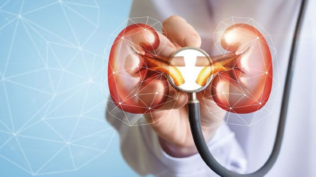 چگونه با تغذیه درست از کلیه‌ها محافظت کنیم؟