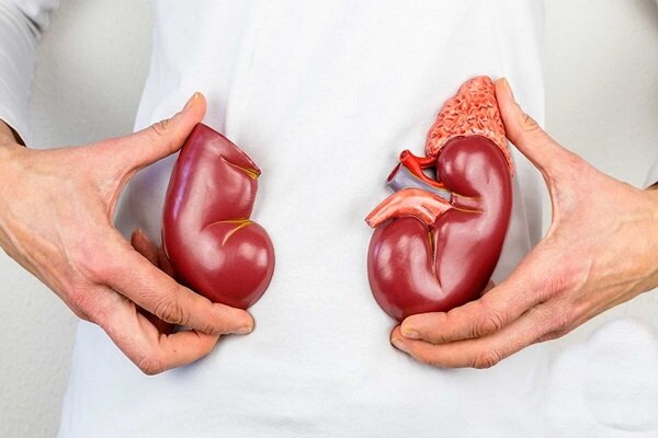 پیشگیری از بیماری‌های کلیوی با چکاپ منظم