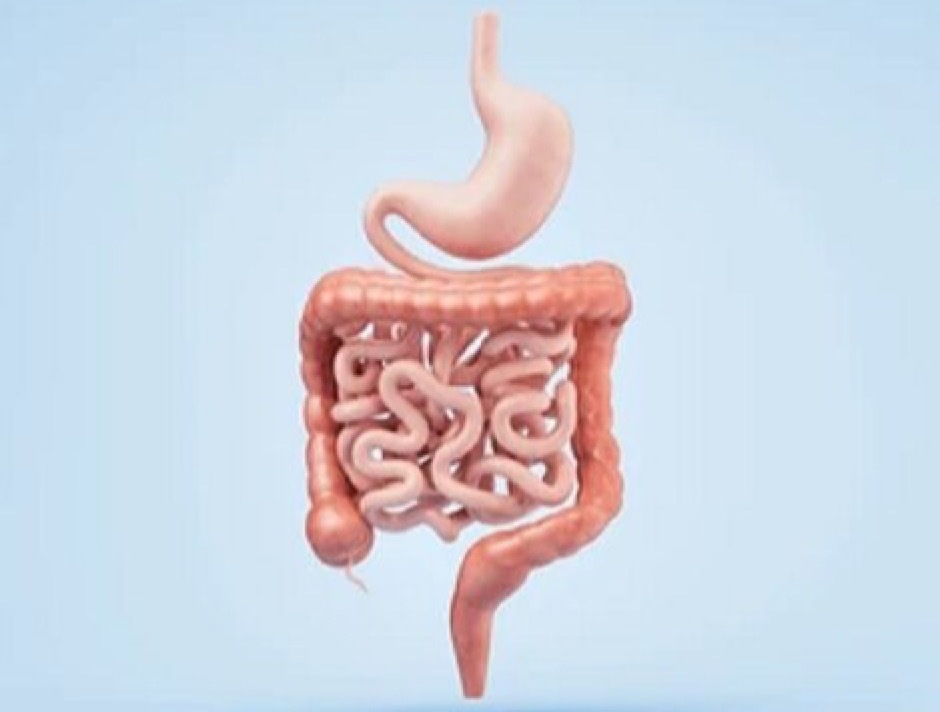 محاسبه سلامت روده با ماشین حساب