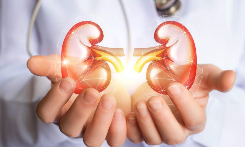 چرا ترکیب ایبوپروفن و کافئین می‌تواند برای کلیه‌ها خطرناک باشد؟