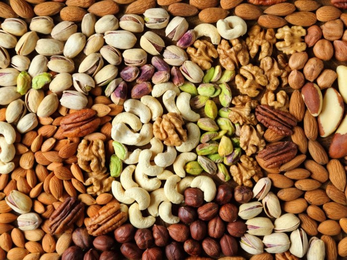 کدام مغزها بیشترین فایده را دارند؟