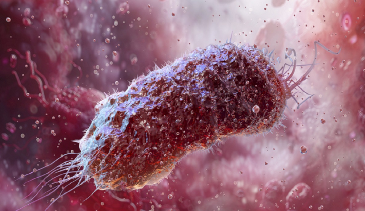 یک پیشرفت پزشکی: تعیین شاخص اولیه بیماری التهابی روده (IBD)