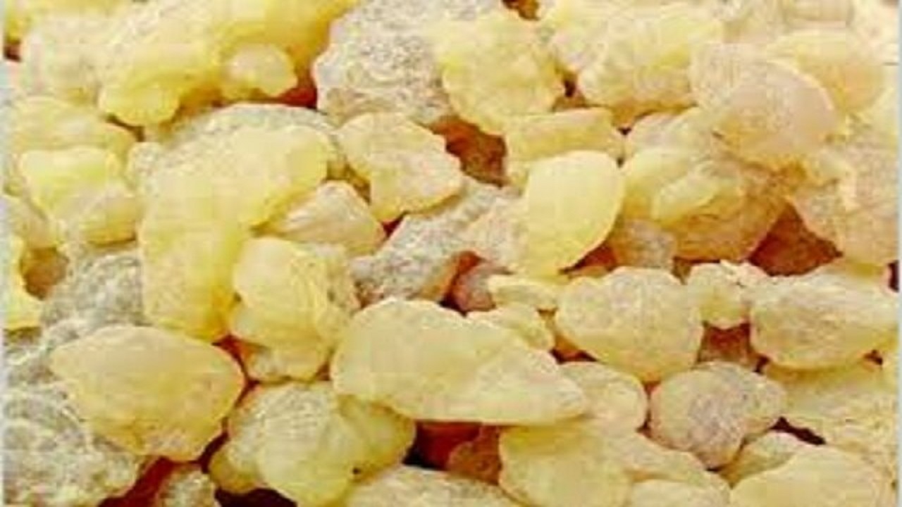 کندر می‌تواند التهاب ناشی از‌ ام‌اس را کاهش دهد