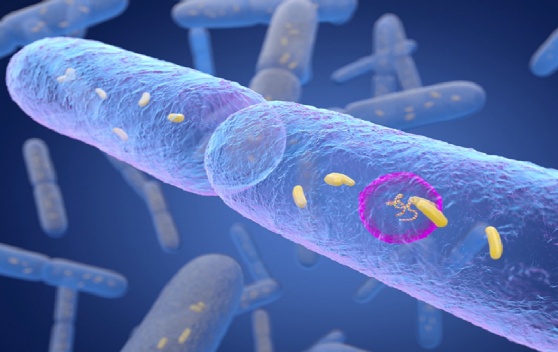 باکتری‌های روده نقش محافظتی در برابر دیابت دارند