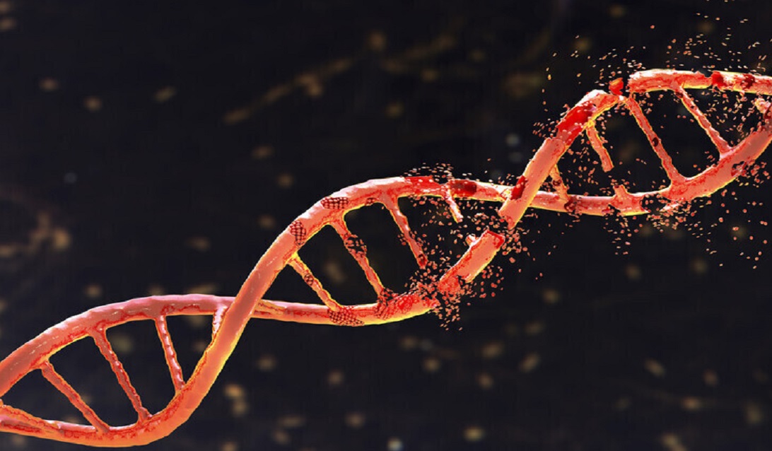 کند کردن روند سرطان روده با یک برنامه ورزشی ساده روزانه