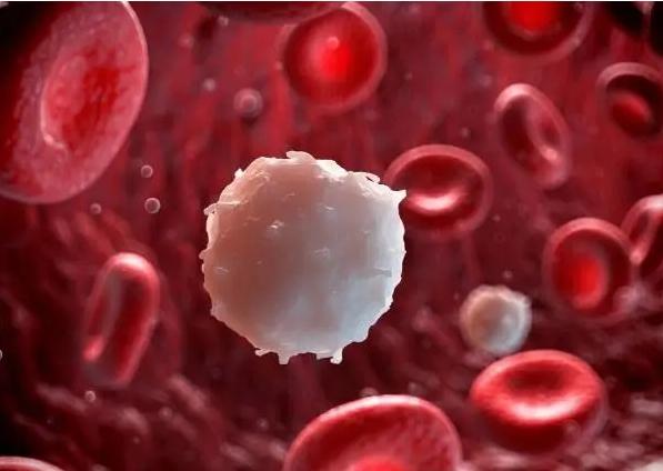 این میوه قاتل چربی خون است