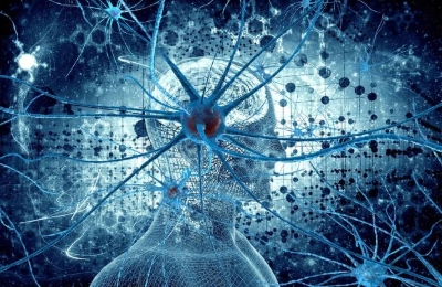 «راینو»؛ هوش مصنوعی که به اینترنت نیاز ندارد