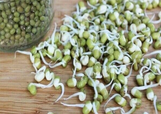 جوانه ماش؛ بمب ویتامین و پروتئین