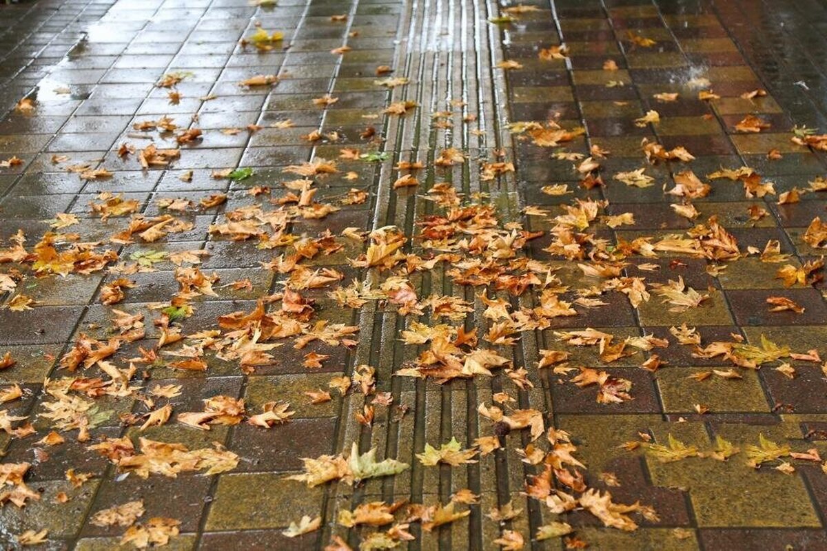 دو سامانه بارشی قوی در آستانه ورود به کشور