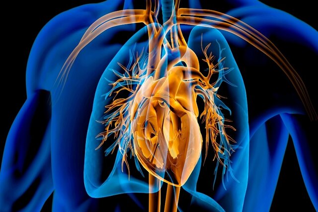 فواید داروی لاغری پرمصرف این روزها برای قلب