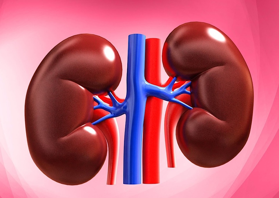 لوبیا‌های سحرآمیز، قاتلان خاموش بدن