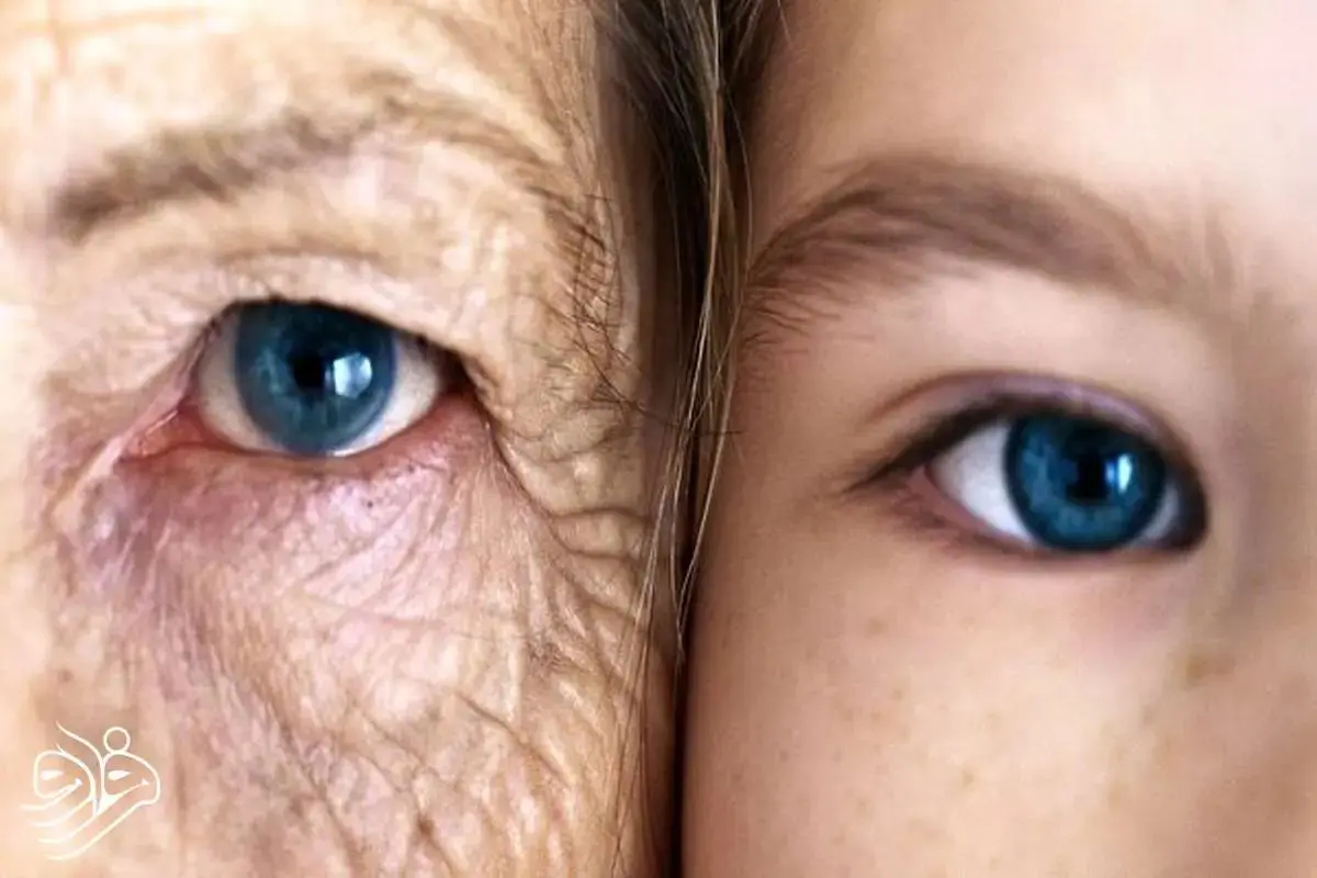 انسان‌ها دو بار در زندگی‌شان «ناگهان» پیر می‌شوند!