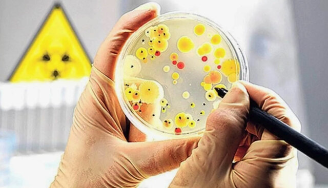 چند عامل بیماری‌زا در محیط خانه